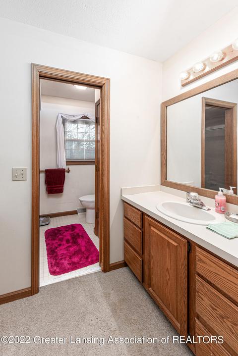 111 Windy Rush Ln, Dewitt, MI 48820 photo 16