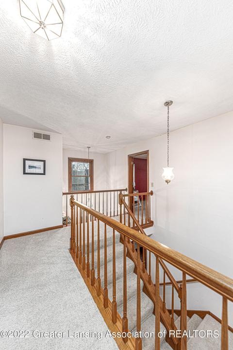 111 Windy Rush Ln, Dewitt, MI 48820 photo 13