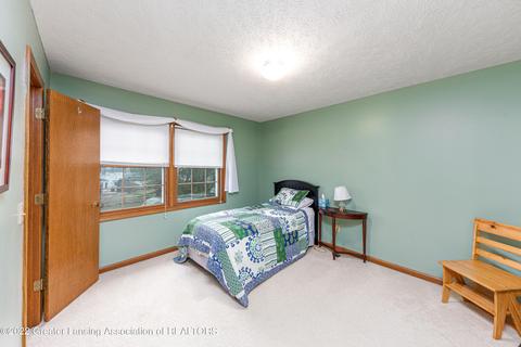 111 Windy Rush Ln, Dewitt, MI 48820 photo 19