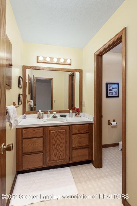 111 Windy Rush Ln, Dewitt, MI 48820 photo 20