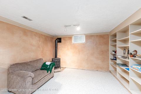 111 Windy Rush Ln, Dewitt, MI 48820 photo 22