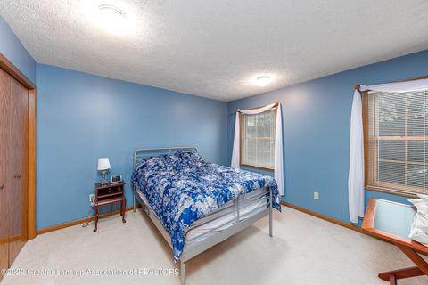 111 Windy Rush Ln, Dewitt, MI 48820 photo 18