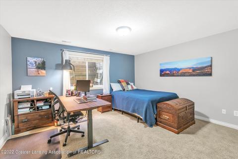 4360 Chancellor Dr, Dewitt, MI 48820 photo 41