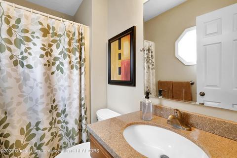819 W Amesbury Dr, Dewitt, MI 48820 photo 23