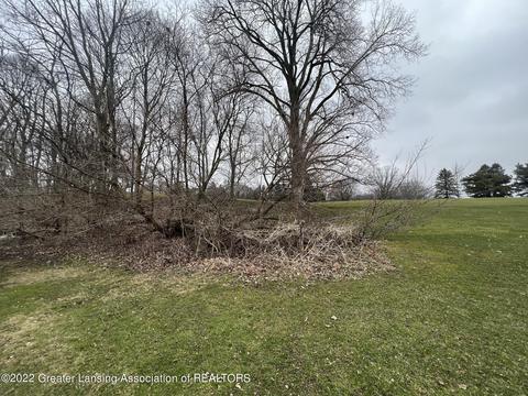 1518 Ormond St, Lansing, MI 48906 photo 29
