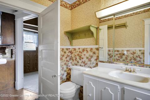 211 E Jefferson St, Dewitt, MI 48820 photo 19