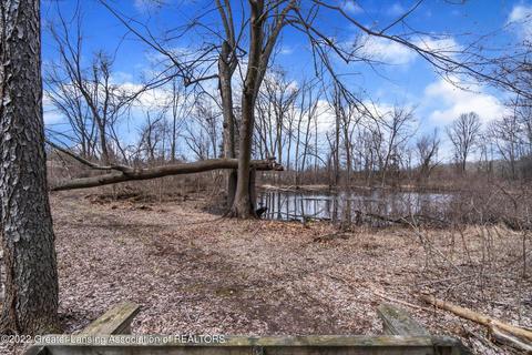 13850 G K Dr, Bath, MI 48808 photo 43