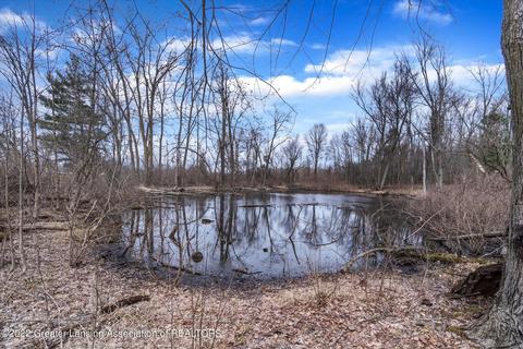 13850 G K Dr, Bath, MI 48808 photo 42