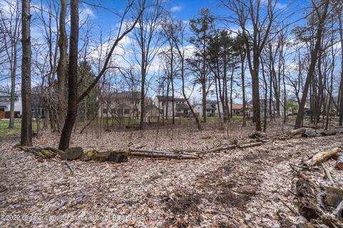 13850 G K Dr, Bath, MI 48808 photo 44