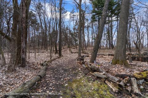 13850 G K Dr, Bath, MI 48808 photo 45