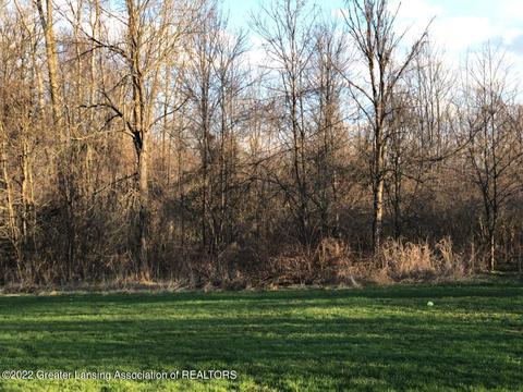 9690 Beardslee Rd, Perry, MI 48872 photo 31
