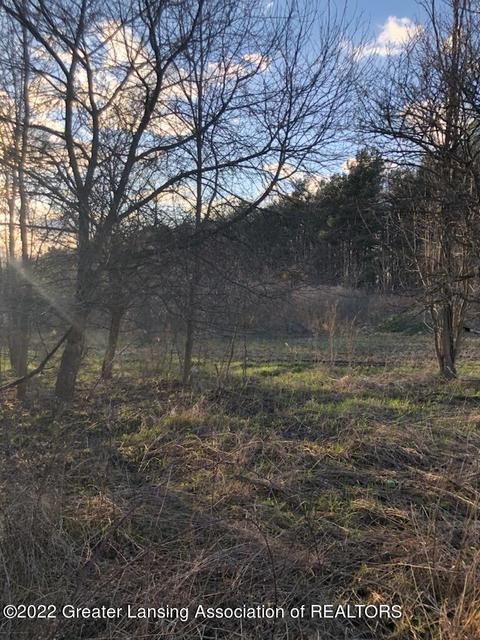 9690 Beardslee Rd, Perry, MI 48872 photo 29