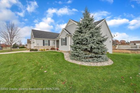 1217 Lobelia Ln, Dewitt, MI 48820 photo 28
