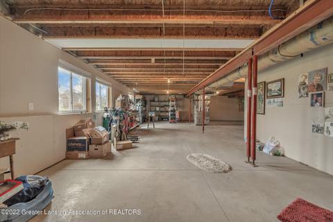 1217 Lobelia Ln, Dewitt, MI 48820 photo 33