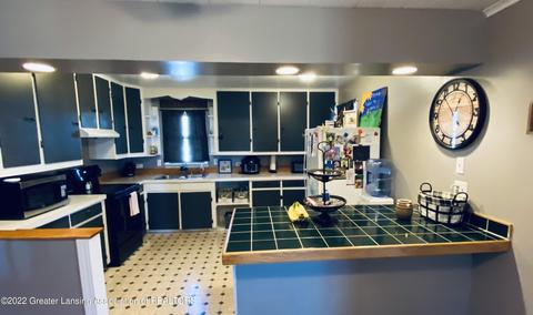 524 S Oak St, Maple Rapids, MI 48853 photo 11