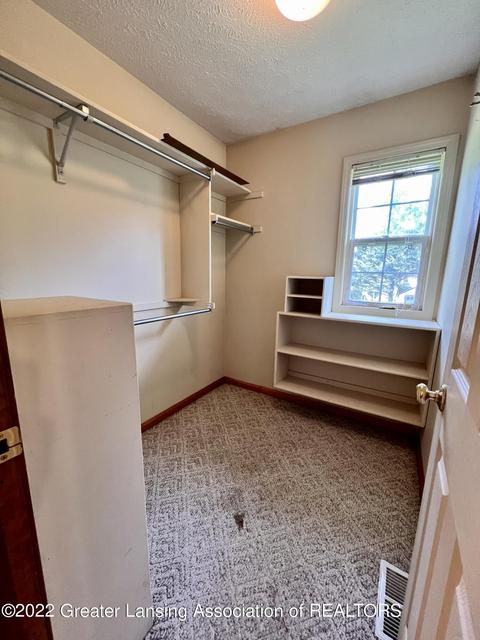 904 Wilson St, Dewitt, MI 48820 photo 26
