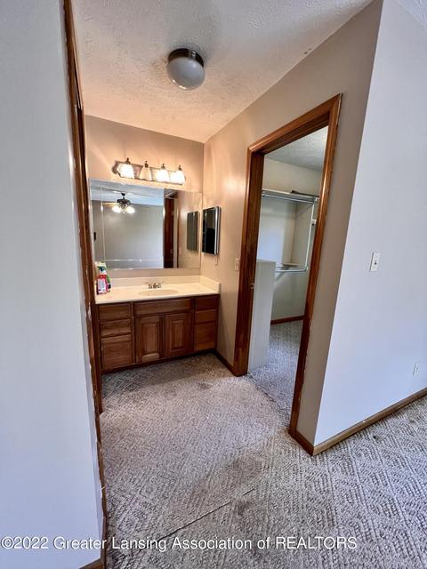 904 Wilson St, Dewitt, MI 48820 photo 25