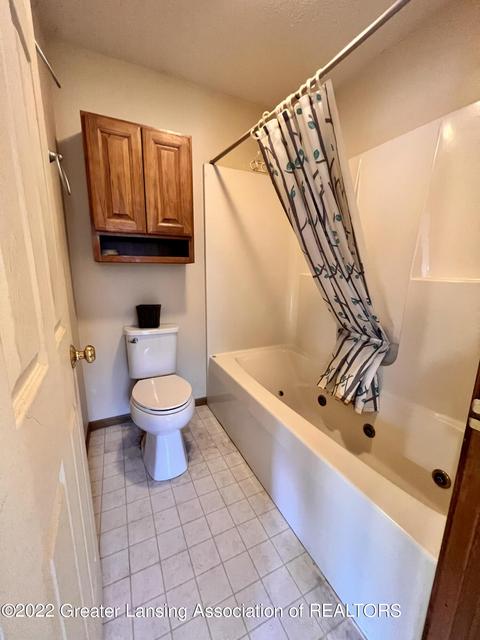 904 Wilson St, Dewitt, MI 48820 photo 27