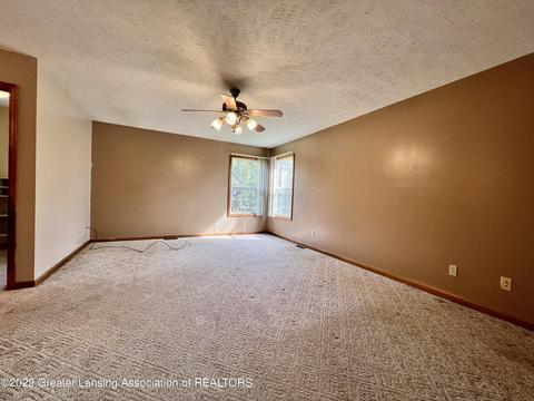904 Wilson St, Dewitt, MI 48820 photo 23