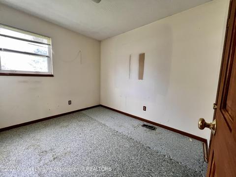 904 Wilson St, Dewitt, MI 48820 photo 29