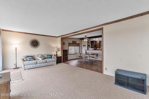 361 SW Dickerson Vw, Stanton, MI 48888 photo 18