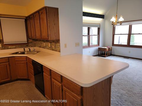 420 Iris Ave, Lansing, MI 48917 photo 33