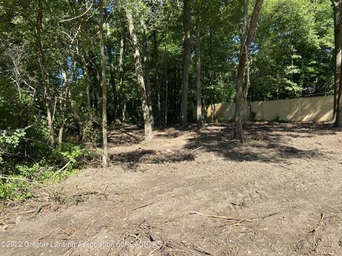 0 Outer Dr, Bath, MI 48808 photo 4