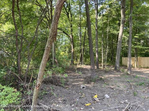 0 Outer Dr, Bath, MI 48808 photo 3