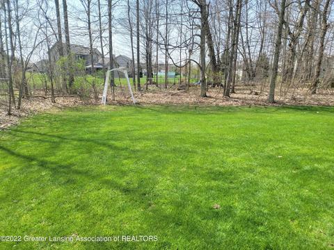 8796 Jacaranda Dr, Dimondale, MI 48821 photo 8
