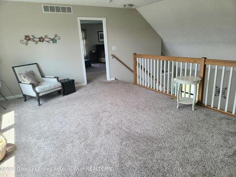 8796 Jacaranda Dr, Dimondale, MI 48821 photo 43