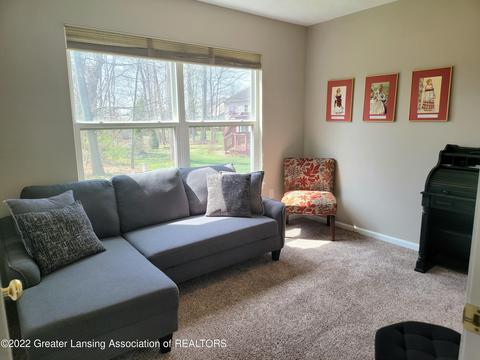 8796 Jacaranda Dr, Dimondale, MI 48821 photo 36