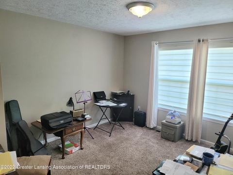 8796 Jacaranda Dr, Dimondale, MI 48821 photo 34