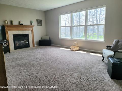 8796 Jacaranda Dr, Dimondale, MI 48821 photo 41