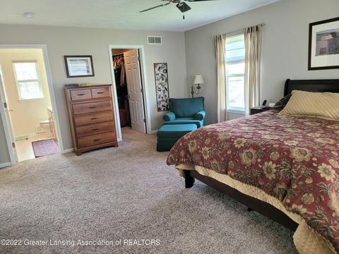 8796 Jacaranda Dr, Dimondale, MI 48821 photo 45