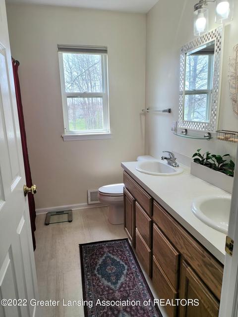 8796 Jacaranda Dr, Dimondale, MI 48821 photo 48