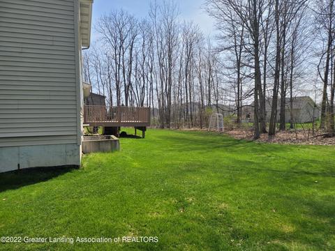 8796 Jacaranda Dr, Dimondale, MI 48821 photo 5
