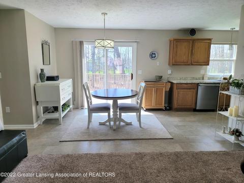 8796 Jacaranda Dr, Dimondale, MI 48821 photo 23