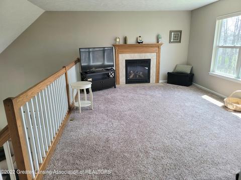 8796 Jacaranda Dr, Dimondale, MI 48821 photo 39