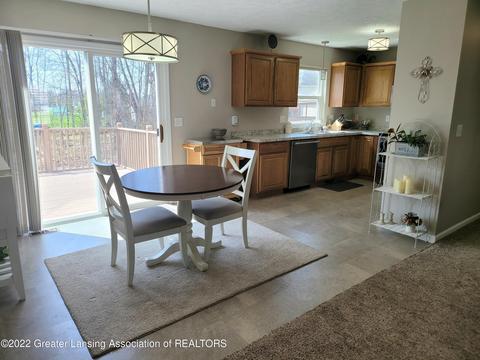 8796 Jacaranda Dr, Dimondale, MI 48821 photo 26