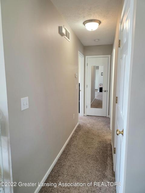 8796 Jacaranda Dr, Dimondale, MI 48821 photo 33