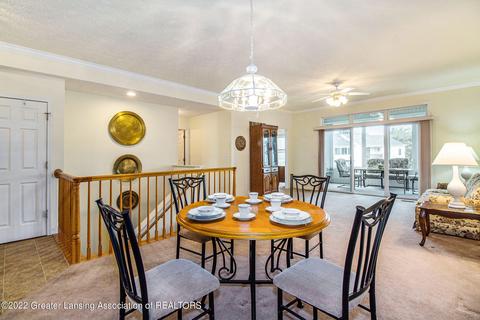 12727 Isle Royale Dr, Dewitt, MI 48820 photo 10