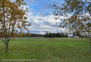 6363 S M-52, Perry, MI 48872 photo 4