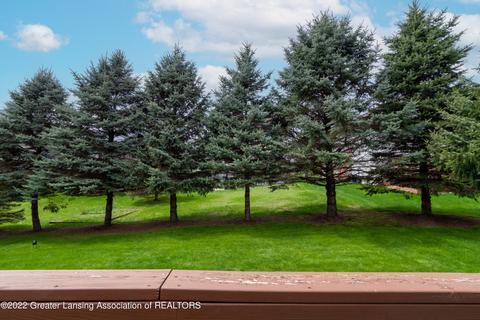 16900 Cedarbrook Dr, Haslett, MI 48840 photo 53