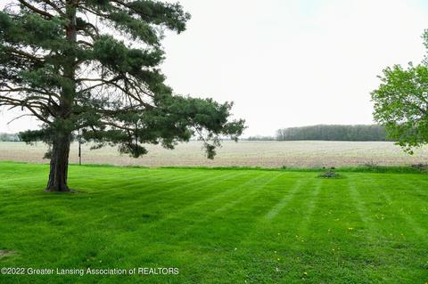 602 Manchester Dr, Dewitt, MI 48820 photo 5