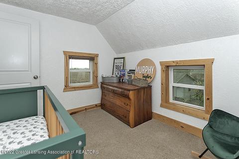 10577 W Townsend Rd, Fowler, MI 48835 photo 19
