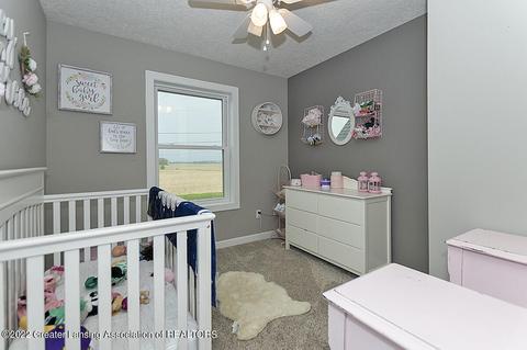 10577 W Townsend Rd, Fowler, MI 48835 photo 16