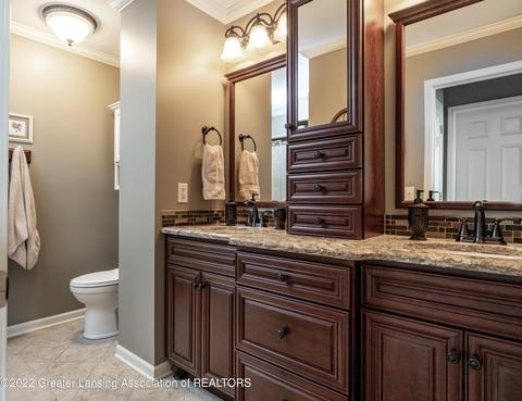 1254 Wineleaf Ln, Dewitt, MI 48820 photo 23