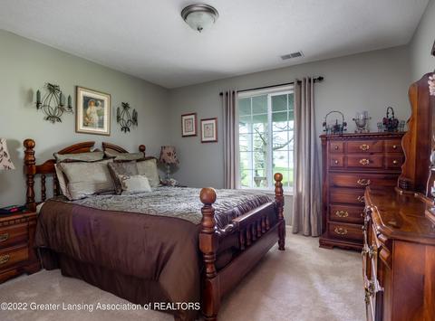 1254 Wineleaf Ln, Dewitt, MI 48820 photo 28