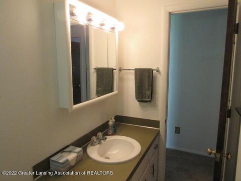 320 Walnut St, Dimondale, MI 48821 photo 19
