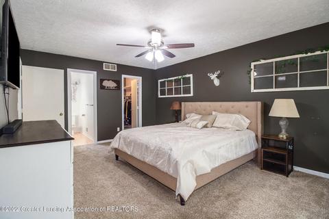 903 E Geneva Dr, Dewitt, MI 48820 photo 14